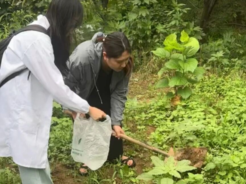 为后续形成科学的环保建议收集了丰富素