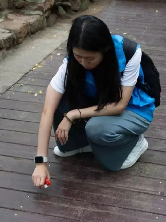 2025年暑期