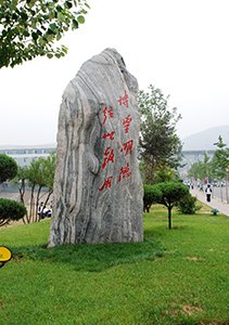 组织部（机关伟德bv国际体育最新版下